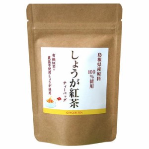 島根県産 しょうが紅茶 ティーバッグ(2g×8個入)×10セット |b03