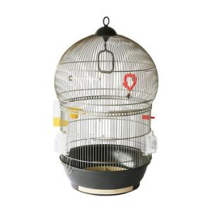 鳥かご ケージ インコの通販 Au Pay マーケット