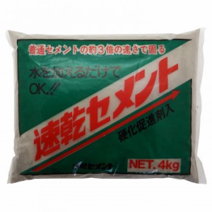 家庭化学工業 速乾セメント 4kg グレ- |b03