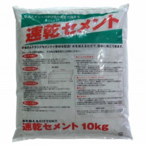 家庭化学工業 速乾セメント 10kg【メーカー直送】代引き・銀行振込前払い・同梱不可