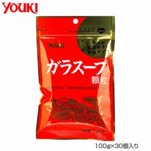 YOUKI ユウキ食品 ガラスープ(袋) 100g×30個入り 111015 |b03