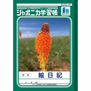 ショウワノート ジャポニカ学習帳 B5判 Jl 46 絵日記 タテ 10冊セットの通販はau Pay マーケット ビバリオ 商品ロットナンバー