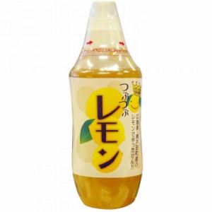 北川村ゆず王国 アイス用レモンママレード つぶつぶレモン 480g 12個セット  17026 |b03