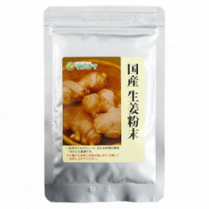 マルシマ 国産生姜粉末 20g×4袋 2504 |b03