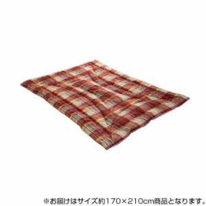 日本製 洗える 抗菌 防臭 防ダニ 掛け布団 カバー付 セミダブルロング レッド 約170×210cm 6707010 |b03