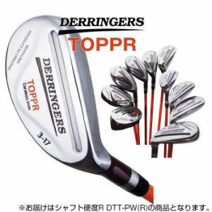 デリンジャートッパ(突破)タラコアイアン PW シャフト硬度R DTT-PW(R)【メーカー直送】代引き・銀行振込前払い・同梱不可