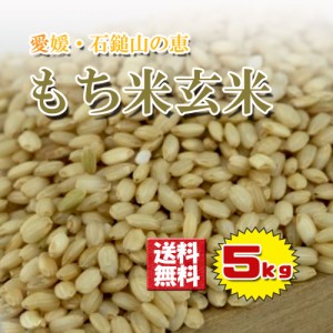もち米玄米 もち米 玄米 約5kg 愛媛県産 農家直送 送料無料