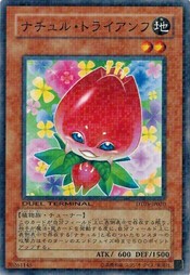 遊戯王 中古ランクA(非常に良い) DT05-JP020 ナチュル・トライアンフ 混沌の覇者！！