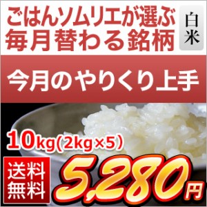 白米 10kg 令和5年産【5月のやりくり上手】島根県産 きぬむすめ 白米（10kg｜2kg×5袋）【送料無料】【即日出荷】【米袋は窒素充填包装】