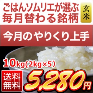 精選玄米 令和5年(2023年)産【6月のやりくり上手】岡山県産 ヒノヒカリ 精選玄米（10kg｜2kg×5袋） 【送料無料】【即日出荷】【米袋は窒