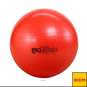 [D＆M オールスポーツ トレーニング用品]セラバンド／エクササイズボール／プロシリーズ（SDS-55）