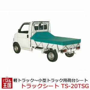  軽トラック 小型トラック用荷台シート 生地ターポリン TSG サイズ 幅2100mm 長さ2650mm 南榮工業株式会社  CHUHATSU-TS-20TSG