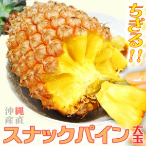 スナックパイン ちぎって食べる パイナップル 送料無料 Lサイズ 約2kg(約1kg×2玉) 母の日 父の日 子供の日 ギフト 誕生日 プレゼント お