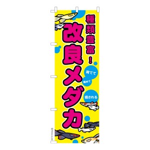 のぼり旗「改良メダカ」めだか 既製品のぼり 納期ご相談ください【メール便可】 600mm幅