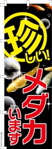 のぼり旗「珍しいメダカ 3」めだか 1枚より 既製品のぼり 納期ご相談ください【メール便可】 600mm幅