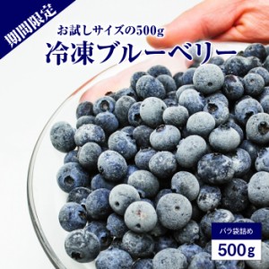 冷凍ブルーベリー お試し約500g サイズ混合 ブルーベリー ベリー 冷凍果実 フルーツ 果物 くだもの 送料無料 ダンボール箱でお届け / 沖