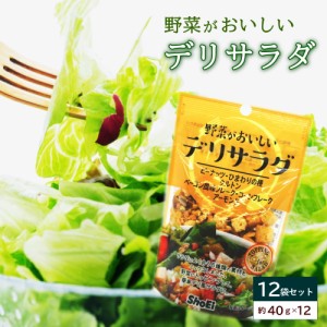 野菜がおいしい　デリサラダ　40g　12袋　チャック付き サラダトッピング ナッツ クルトン フレーク アーモンド ひまわりの種入り / 宅配