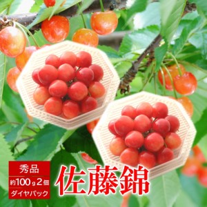 【6月中旬頃から出荷予定】さくらんぼ ギフトパック 約100g ２個M玉 佐藤錦 山形県 産地直送 ギフト お中元 フルーツ 果物沖縄/離島配送