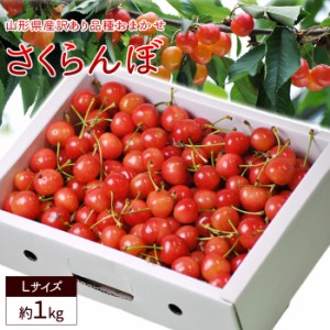 【6月中旬頃から出荷予定/予約販売】送料無料 さくらんぼ 山形県産 約1kg バラ直詰め Ｌサイズ　サクランボ 訳あり 家庭用 品種おまかせ 