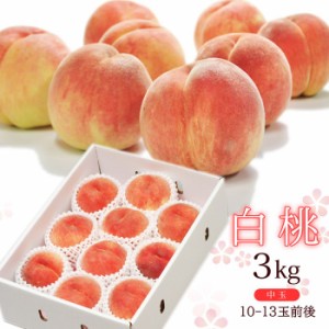 桃 もも モモ 白桃 約3kg 10-13玉前後 中玉 化粧箱 秀品 ギフト プレゼント 中元 産直 取寄せ / 沖縄・一部離島配送不可 momo