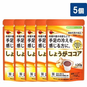 ブルボン しょうがココア 120g 5個