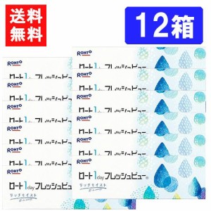 ロート ワンデーフレッシュビュー リッチモイスト（30枚入）×12箱 送料無料 RHOTO 1DAY フレッシュビュー