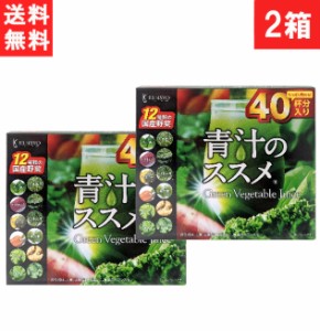 【送料無料】健翔 青汁のススメ 国産野菜12種類使用 40包×2個 国産 九州産 美味しい 美味 大麦若葉 ケール 明日葉 契約農家 栄養 無農薬