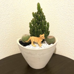 【受注生産品】ライオン 寄せ植え サボテン 観葉植物 インテリア グリーン ミニチュア かわいい 動物 フィギュア sa03jw