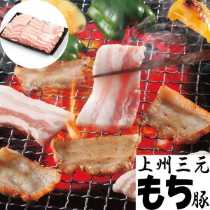 群馬 上州三元もち豚焼肉 B ギフト プレゼント お中元 御中元 お歳暮 御歳暮