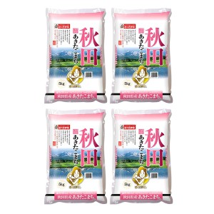 秋田県産 あきたこまち 5kg×4 ギフト プレゼント お中元 御中元 お歳暮 御歳暮