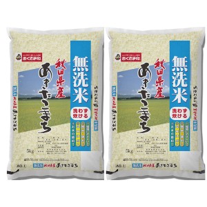 無洗米 秋田県産 あきたこまち 5kg×2 ギフト プレゼント お中元 御中元 お歳暮 御歳暮