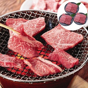 長野 信州プレミアム牛肉焼肉 モモ バラ 600g