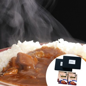 野口英世　会津青春通り　会津青春カレー A ギフト プレゼント お中元 御中元 お歳暮 御歳暮