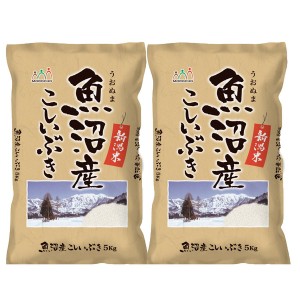 新潟 魚沼産 こしいぶき 5kg×2 ギフト プレゼント お中元 御中元 お歳暮 御歳暮