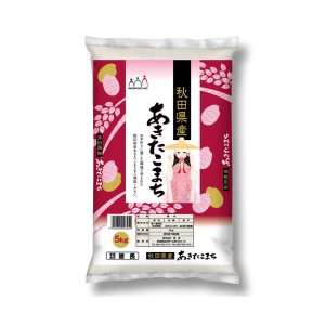 秋田産 あきたこまち 5kg ギフト プレゼント お中元 御中元 お歳暮 御歳暮