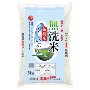 無洗米 新潟産 こしいぶき 5kg ギフト プレゼント お中元 御中元 お歳暮 御歳暮