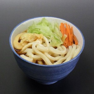 山梨 創業明治35年「平井屋」 吉田のうどん (2人前)×5 ギフト プレゼント お中元 御中元 お歳暮 御歳暮