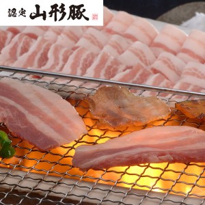 山形県食肉公社認定 山形豚 バラ焼肉（500g）