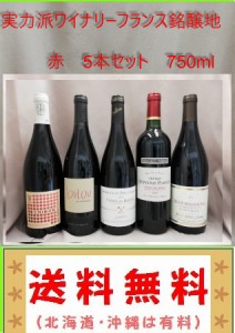 送料無料　実力派ワイナリー珠玉のフランス銘醸地赤ワイン5本セット（北海道、沖縄、は有料）  