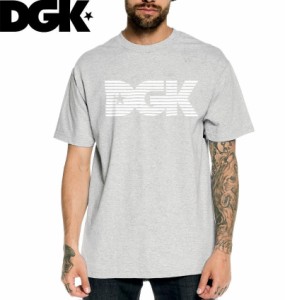 DGK ディージーケー スケボー Tシャツ LEVELS TEE ヘザーグレー NO305