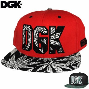 ディージーケー DGK スケボーキャップ HOME GROWN SNAPBACK CAP 2カラー NO54