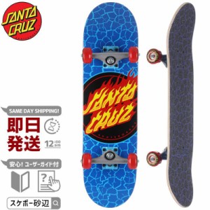 10匣 テンボックスtenbox スケートボード Skateboard ghamz.com.sa