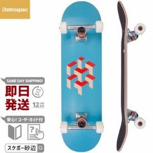 RETROSPEC レトロスペック スケボー コンプリート ALAMEDA SKATEBOARD 8.0インチ SKY BLUE ISOMETRIC NO3