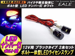 ナンバー灯 ボルト型 汎用LED バイクや自動車に 2個セット P-111