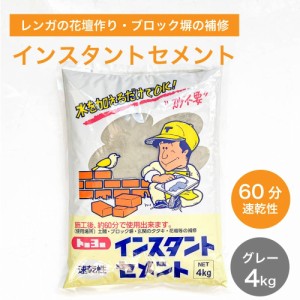 セメント コンクリート 補修 修繕 修理 速乾 レンガ 花壇 ブロック塀 池 水漏れ 補修剤 DIY （60分速乾性インスタントセメント 4kg）