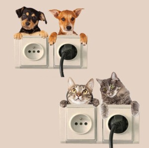 ウォールステッカー 猫 犬 4匹 スイッチ周り コンセント ドアノブ 壁面 シール 貼ってはがせる 可愛い 動物 リビングルーム 送料無料