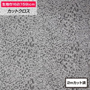 W巾 ヒョウ柄透かし生地 約162cm巾x2mカット済み 布地 シースルー生地 ストレッチ素材 衣装 小物 手作り FA200-28A60[M便 3/4]