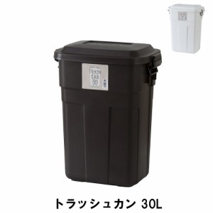 【値下げ】 ゴミ箱 30L ふた付き ごみ箱 トラッシュカン 幅39 奥行27 高さ48.6cm ペール ダストボックス ごみ箱 ゴミ箱 おしゃれ インテ