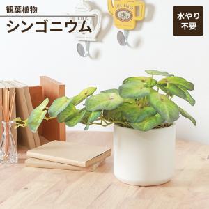 光触媒 人工観葉植物 ウォールグリーン フェイクグリーン