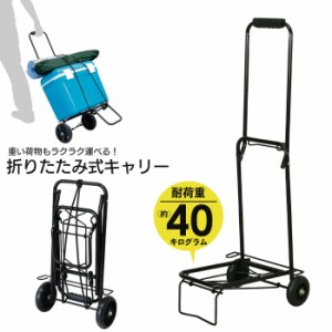 【値下げ】 折りたたみ キャリーカート スチール製 コンパクト 幅35 高さ98 ゴムロープ付き 耐荷重40kg 小型 台車 荷物 持ち運び 収納 車